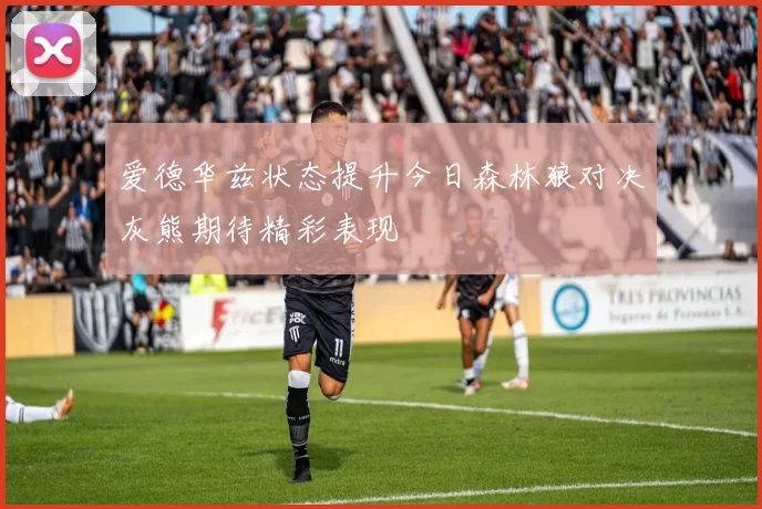 爱德华兹状态提升今日森林狼对决灰熊期待精彩表现