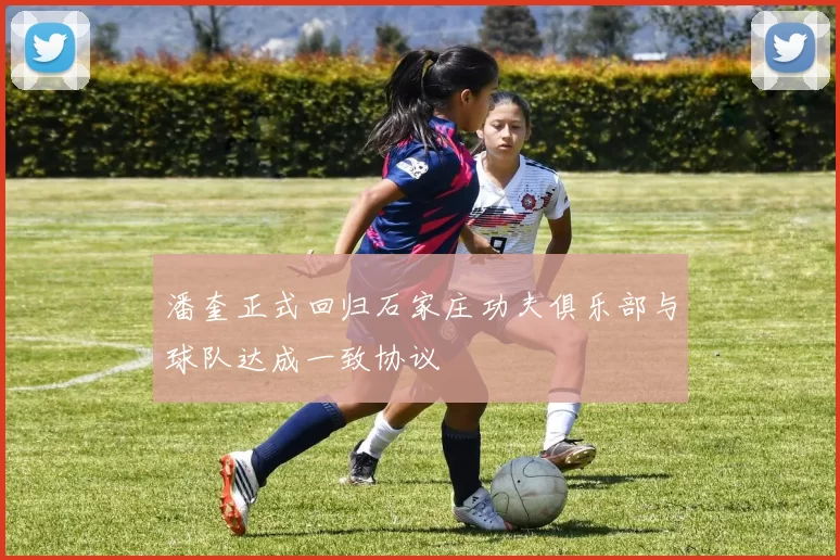 潘奎正式回归石家庄功夫俱乐部与球队达成一致协议